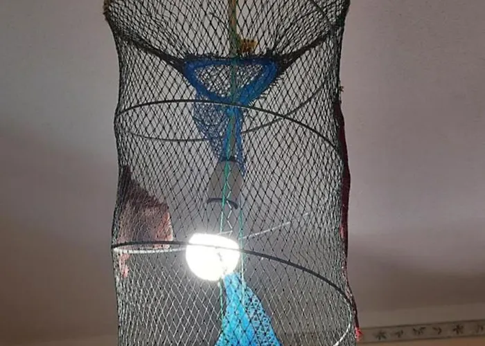 Dom wakacyjny Zurrundeddu House *